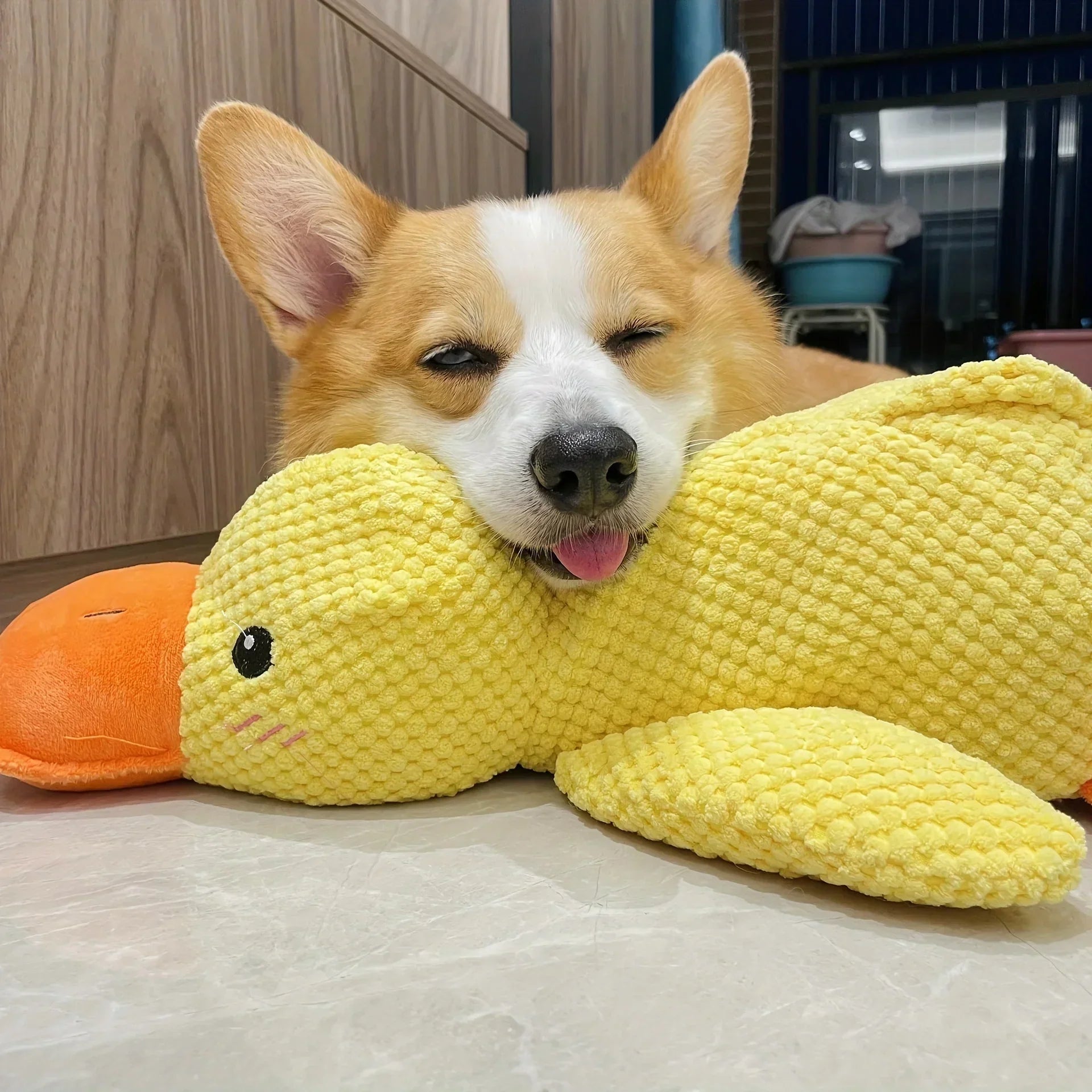 Corgi kuschelt mit gelbem Plüsch-Entenspielzeug auf Boden, süßes Haustierfoto.