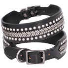 Schwarzes Lederhalsband mit Nieten, verstellbar, für Hunde, robustes Design.