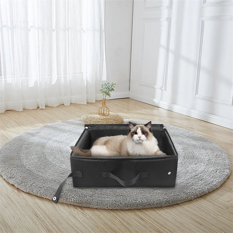 Katze in schwarzer faltbarer Aufbewahrungsbox auf grauem Teppich in hellem Raum.
