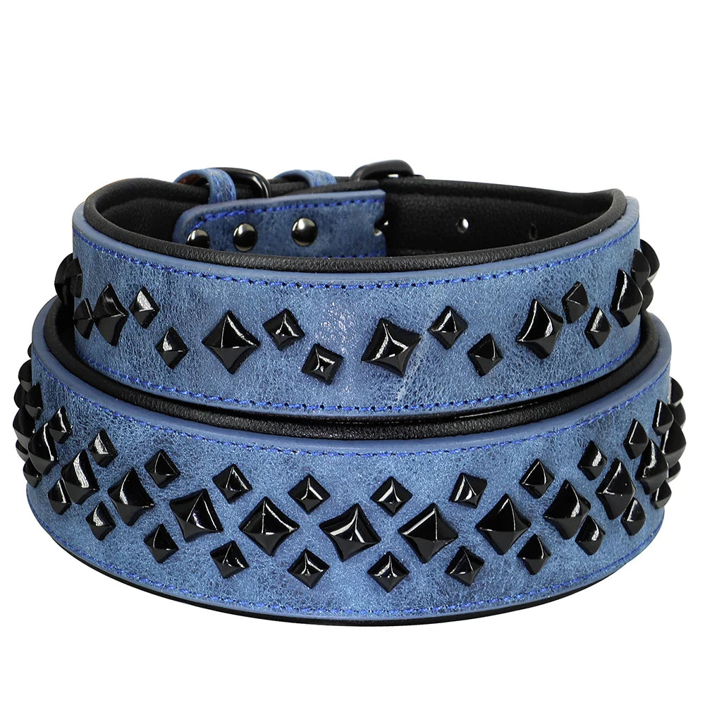 Blaues Lederhalsband mit schwarzen Nieten, modisches Hundezubehör, robust und stilvoll.