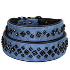Blaues Lederhalsband mit schwarzen Nieten, modisches Hundezubehör, robust und stilvoll.