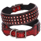 Rotes Lederhalsband mit schwarzen Nieten, verstellbar, für Hunde, robustes Design.