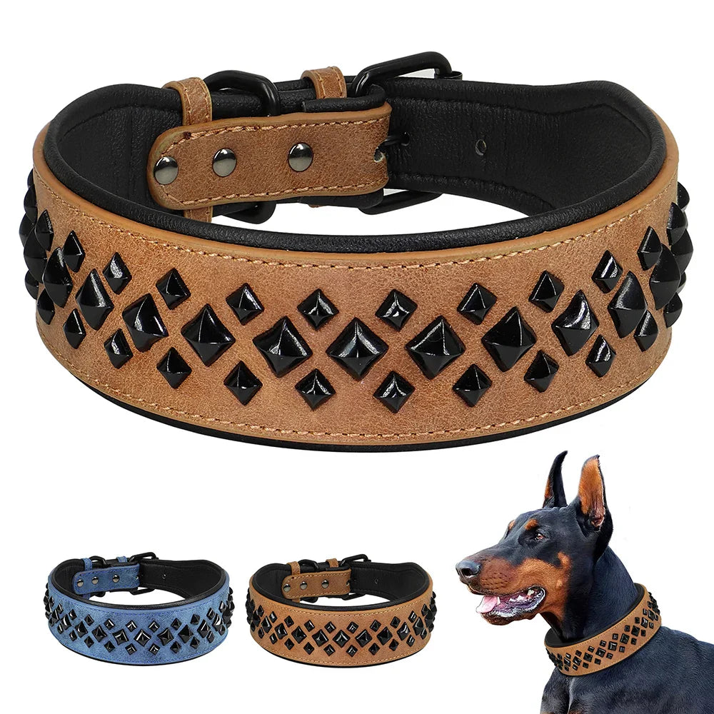 Braunes Lederhalsband mit schwarzen Nieten für Hunde, robust und stilvoll.