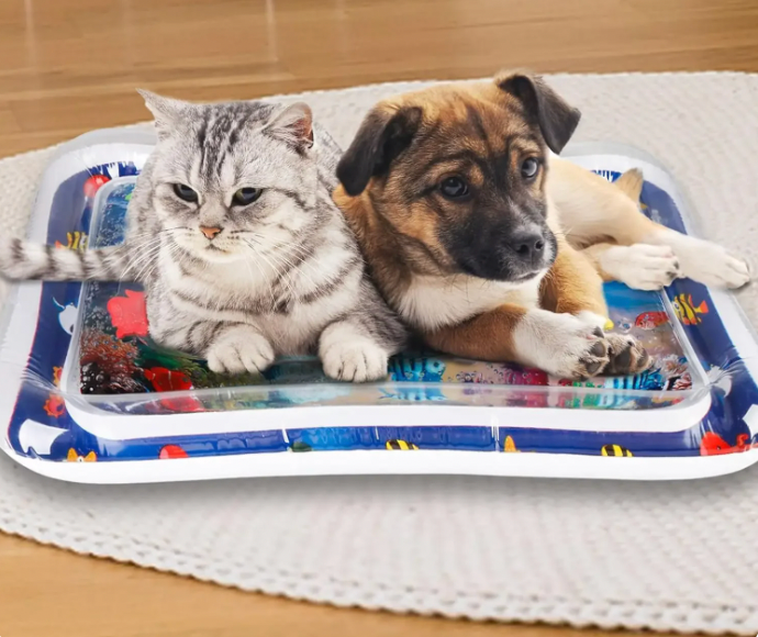 Katze und Hund auf buntem Wasserspielmatte, ideal für Haustierunterhaltung. Perfekt für Tierliebhaber, die interaktive Spielzeuge suchen.