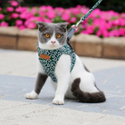 Graue-weiße Katze mit grünem Geschirr an Leine, sitzt auf Gehweg. Hintergrund mit rosa Blumen. Haustier, Katzengeschirr, Spaziergang.