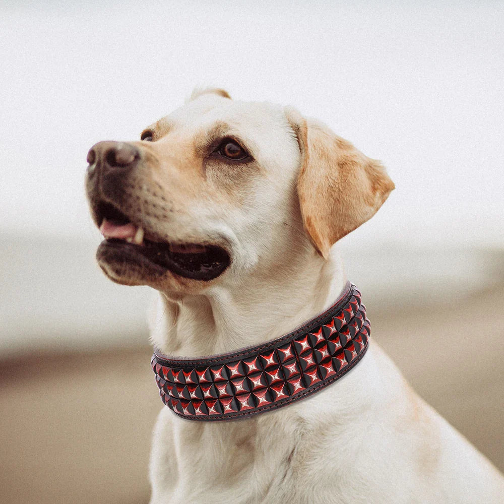Labrador mit schwarzem Nietenhalsband, Hundehalsband, Leder, modisch, robust, Haustierzubehör.