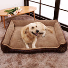 Goldener Retriever auf braunem Hundebett aus Stoff, gemütlich auf Teppich liegend, neben Holztisch.