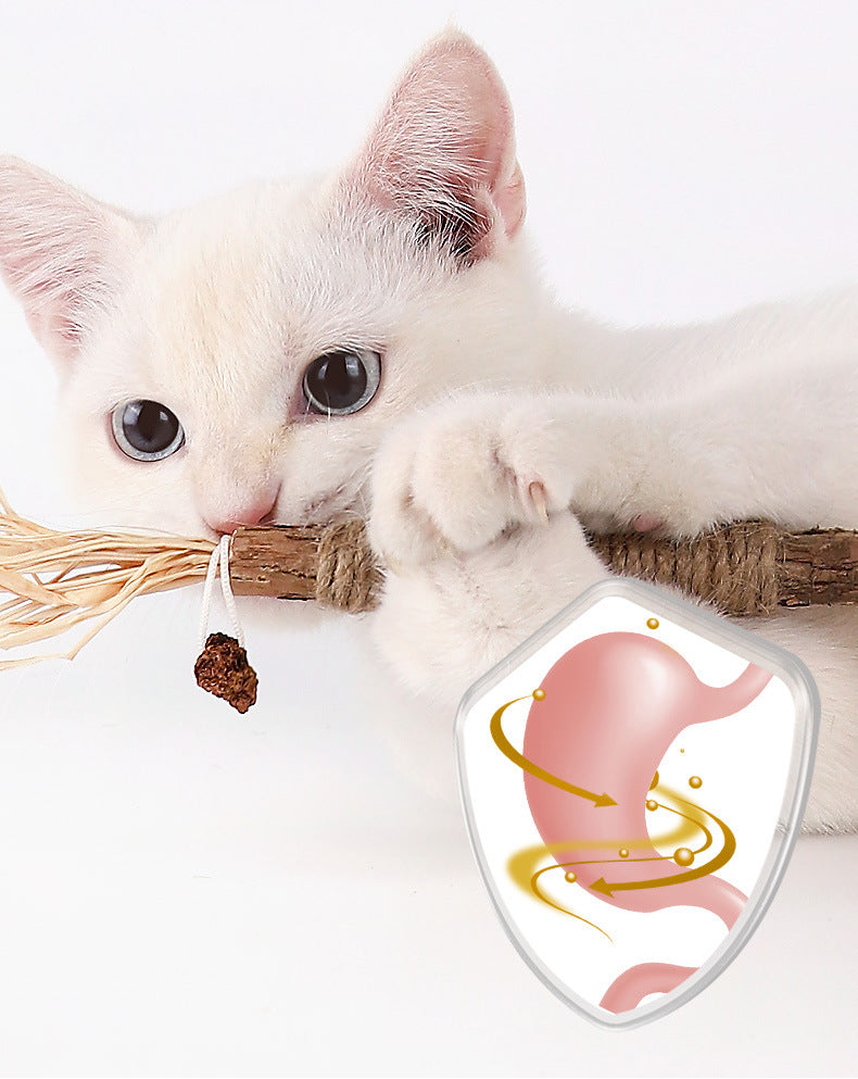 Weißes Kätzchen spielt mit Spielzeug, Symbol für gesunde Verdauung. Katzenfutter, Verdauungsgesundheit, Haustierpflege, Katzenliebhaber.