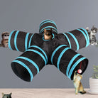 Schwarzer Katzentunnel mit blauen Rändern, fünf Eingänge, spielende Katzen, interaktives Spielzeug.