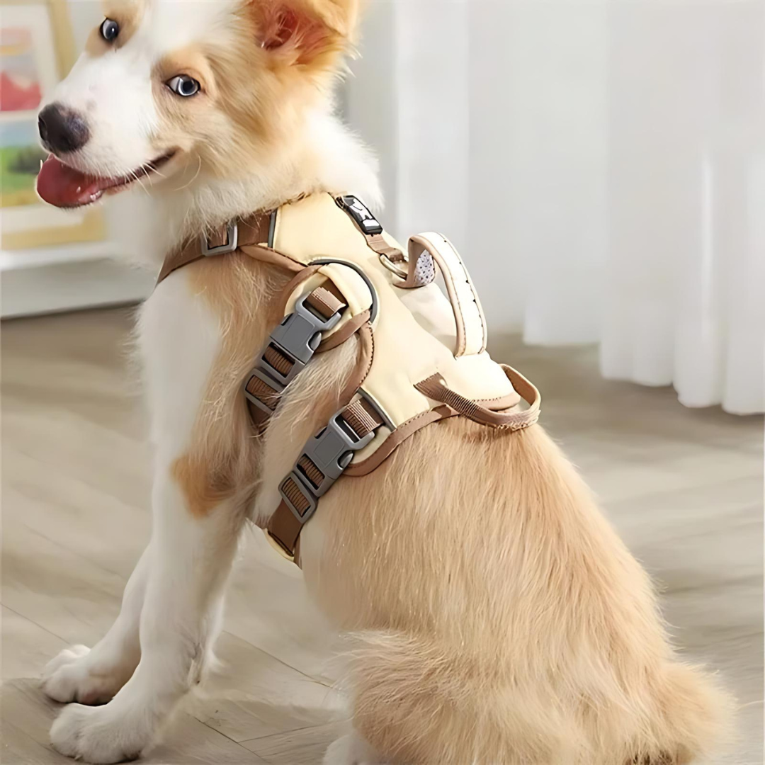 Hundegeschirr mit LED-Licht, verstellbar und reflektierend, ideal für Spaziergänge. Komfortabel und sicher für Hunde, langlebiges Material.