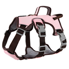Rosa Hundegeschirr mit verstellbaren Gurten und robusten Schnallen, ideal für kleine bis mittelgroße Hunde. Komfortabel und sicher für Spaziergänge.
