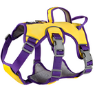 Hochwertiges, gelb-violettes Hundegeschirr mit verstellbaren Gurten und robusten Schnallen. Ideal für Outdoor-Aktivitäten und Hundetraining.