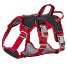 Rotes Hundegeschirr mit verstellbaren Gurten und robusten Schnallen, ideal für Outdoor-Aktivitäten. Komfortabel, langlebig, sicher.