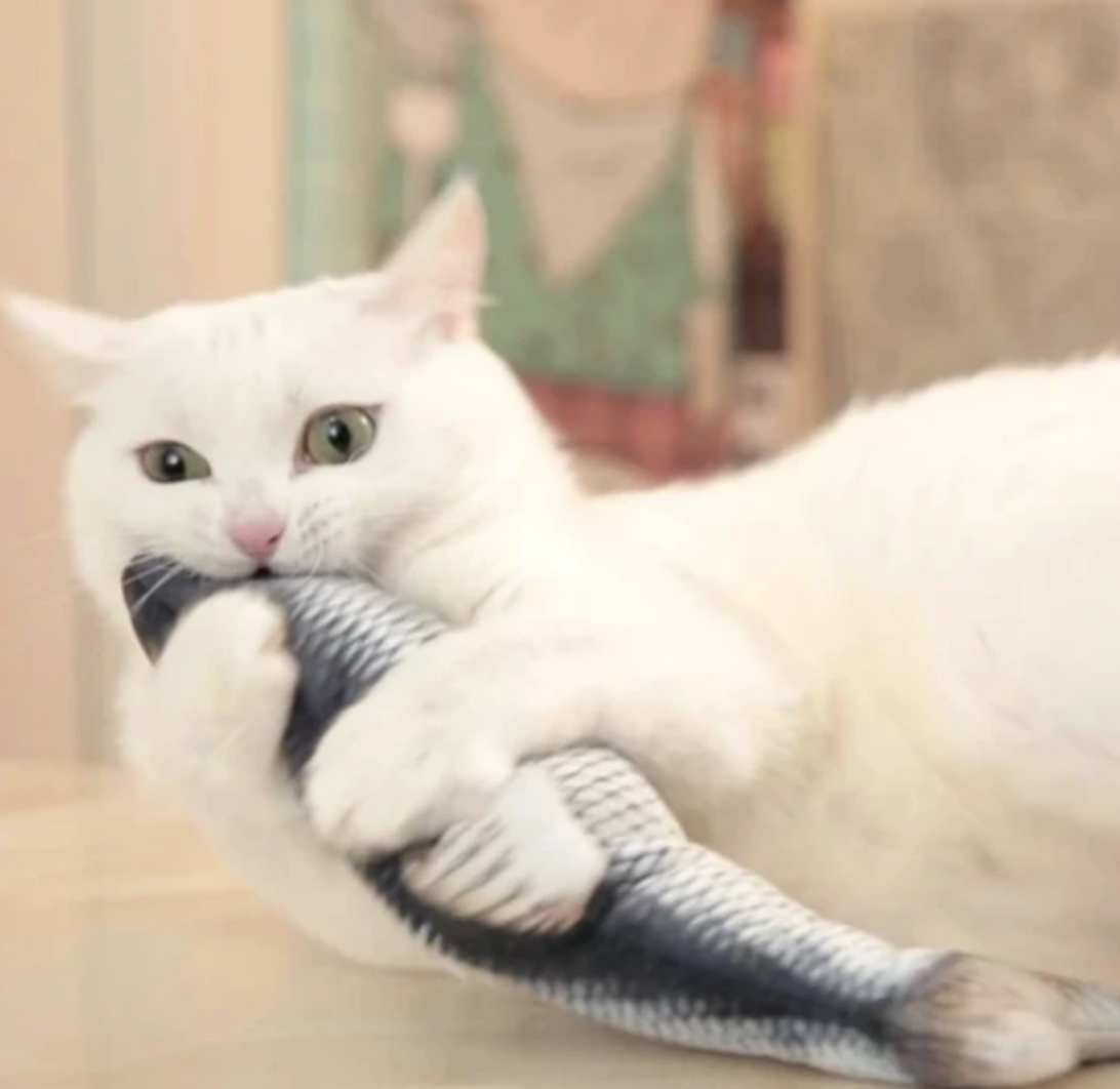 Weiße Katze spielt mit zappelndem Fischspielzeug, gefüllt mit Katzenminze, interaktives Katzenspielzeug.