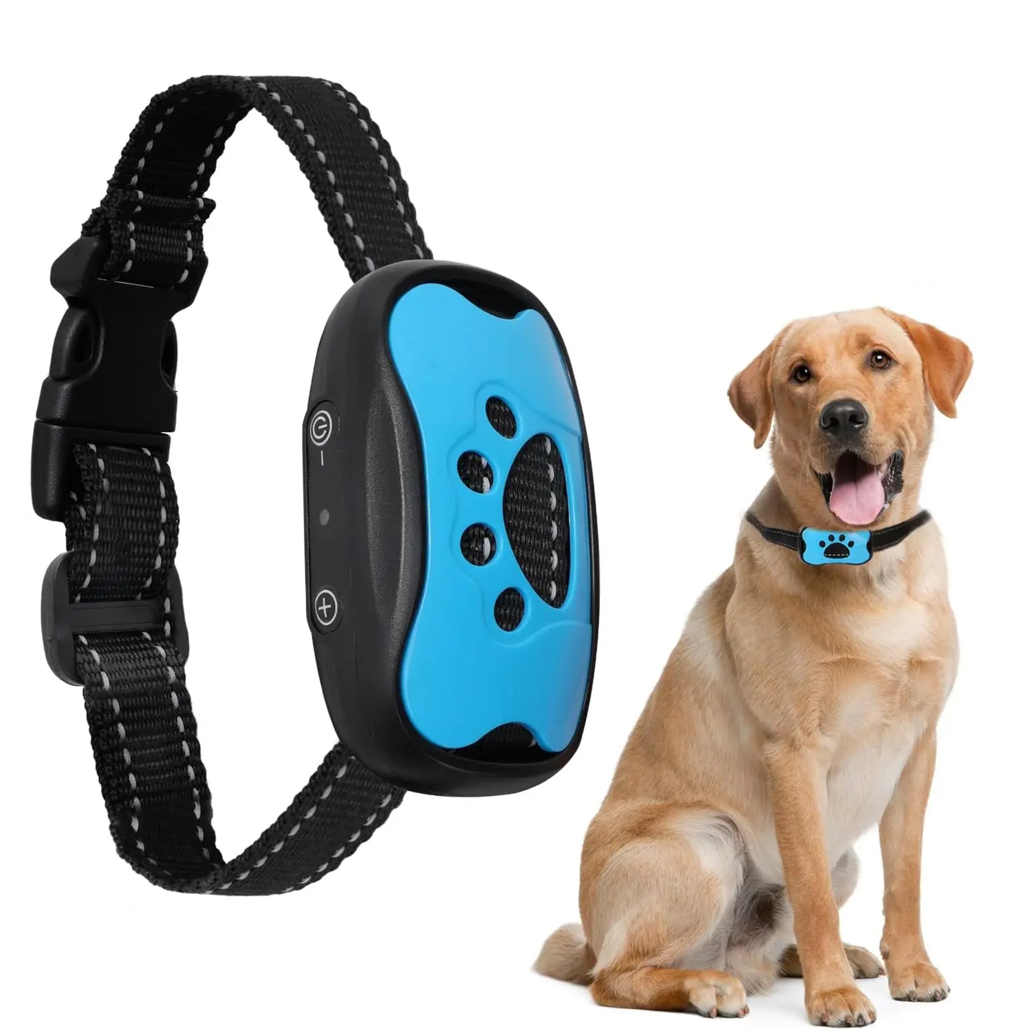 Zeus Anti-Bell-Halsband für Hunde, blau, verstellbar, mit Vibrations- und Tonfunktion, effektives Training, hochwertiges Material.