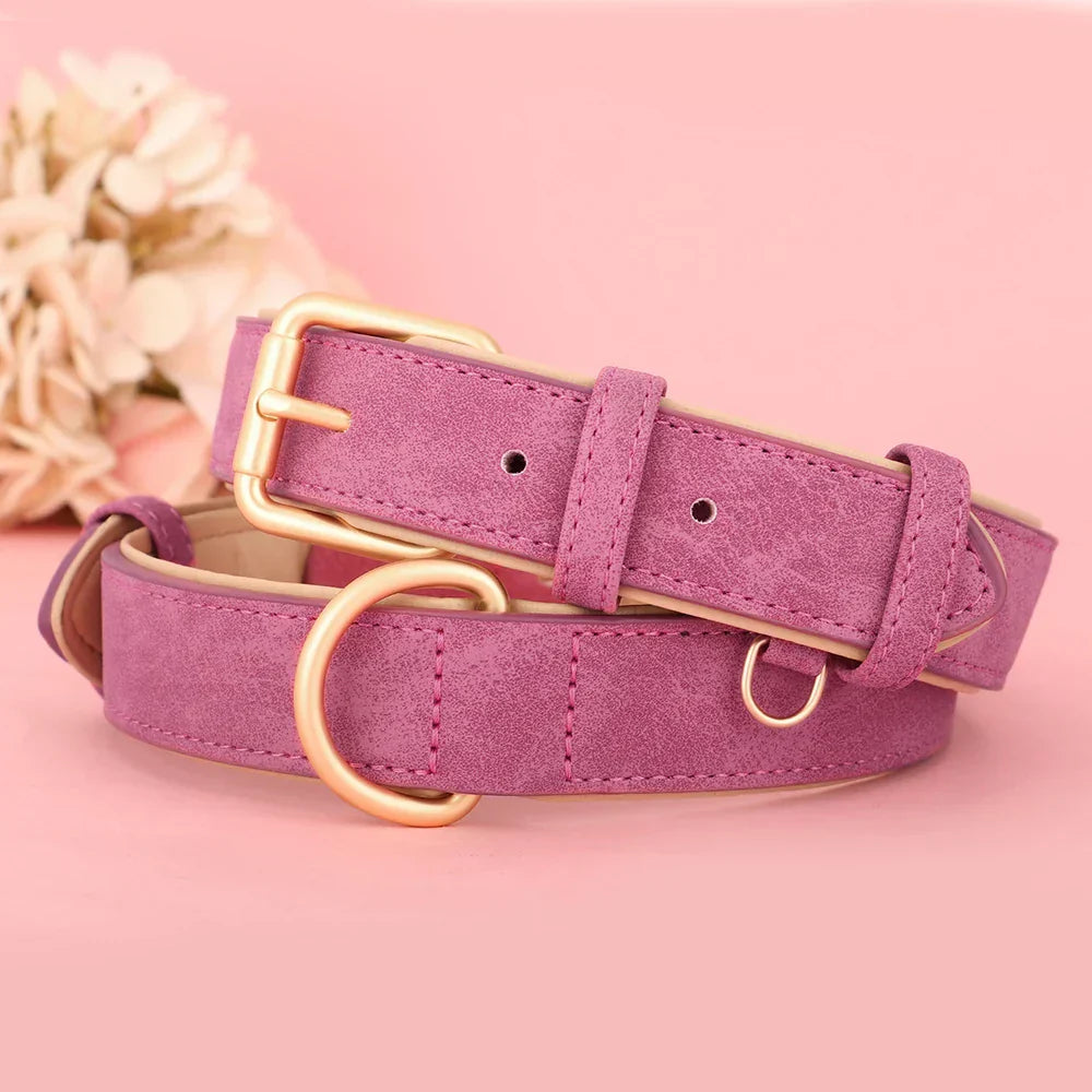Rosa Wildleder-Hundehalsband mit goldener Schnalle und D-Ring, stilvoll und langlebig. Perfekt für modische Haustiere. Hochwertiges Zubehör.