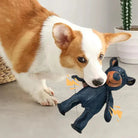 Corgi spielt mit robustem Hundespielzeug in Bärenform. Perfekt für interaktive Spiele. Langlebiges Material, ideal für aktive Hunde.
