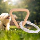 Dreieckiger Hundekauknochen aus Holz mit Seil, ideal für Zahnpflege und Spielspaß. Perfektes Hundespielzeug für Welpen und kleine Hunde.