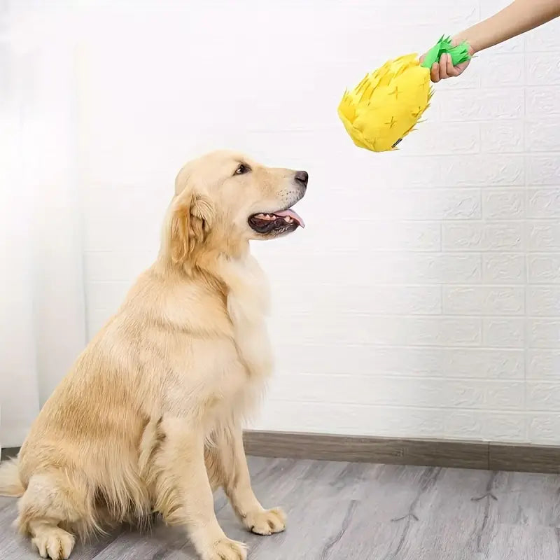 Golden Retriever sitzt aufmerksam vor einem quietschenden Hundespielzeug in Ananasform. Perfektes interaktives Spielzeug für Hunde.