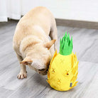 Französische Bulldogge spielt mit Ananas-Hundespielzeug aus Plüsch auf Holzboden. Perfektes interaktives Spielzeug für Haustiere.