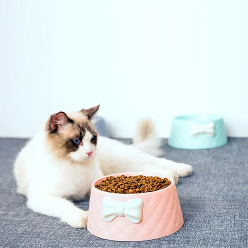 Katzennapf mit Schleife, rosa, gefüllt mit Trockenfutter. Perfekt für stilvolle Haustierfütterung. Katzenzubehör, Futternapf, Haustierbedarf.