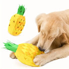 Hund spielt mit Ananas-förmigem Hundespielzeug aus Plüsch. Perfektes interaktives Kauspielzeug für Hunde, langlebig und unterhaltsam.