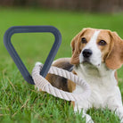 Beagle-Hund im Gras mit robustem Kauspielzeug aus Seil und Kunststoff. Perfekt für interaktives Spielen und Zahnpflege. Hundespielzeug, langlebig.