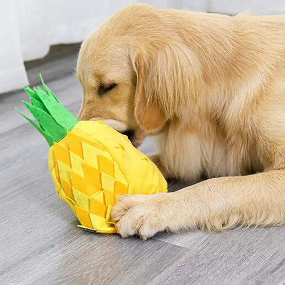 Goldener Retriever spielt mit Ananas-Plüschspielzeug auf Holzboden. Hundespielzeug, interaktives Kauspielzeug, Haustierbedarf, langlebig.