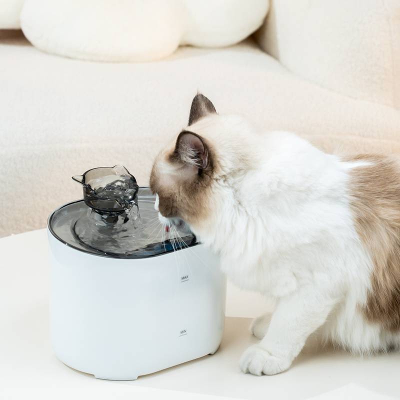 Katzen trinken aus einem modernen Trinkbrunnen. Automatischer Wasserspender für Haustiere, ideal für Katzen, sorgt für frisches, fließendes Wasser.