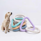 Hundespielzeug-Set aus Seil und buntem Kunststoff, ideal für interaktives Spielen und Zahnpflege. Perfekt für aktive Hunde und Welpen.