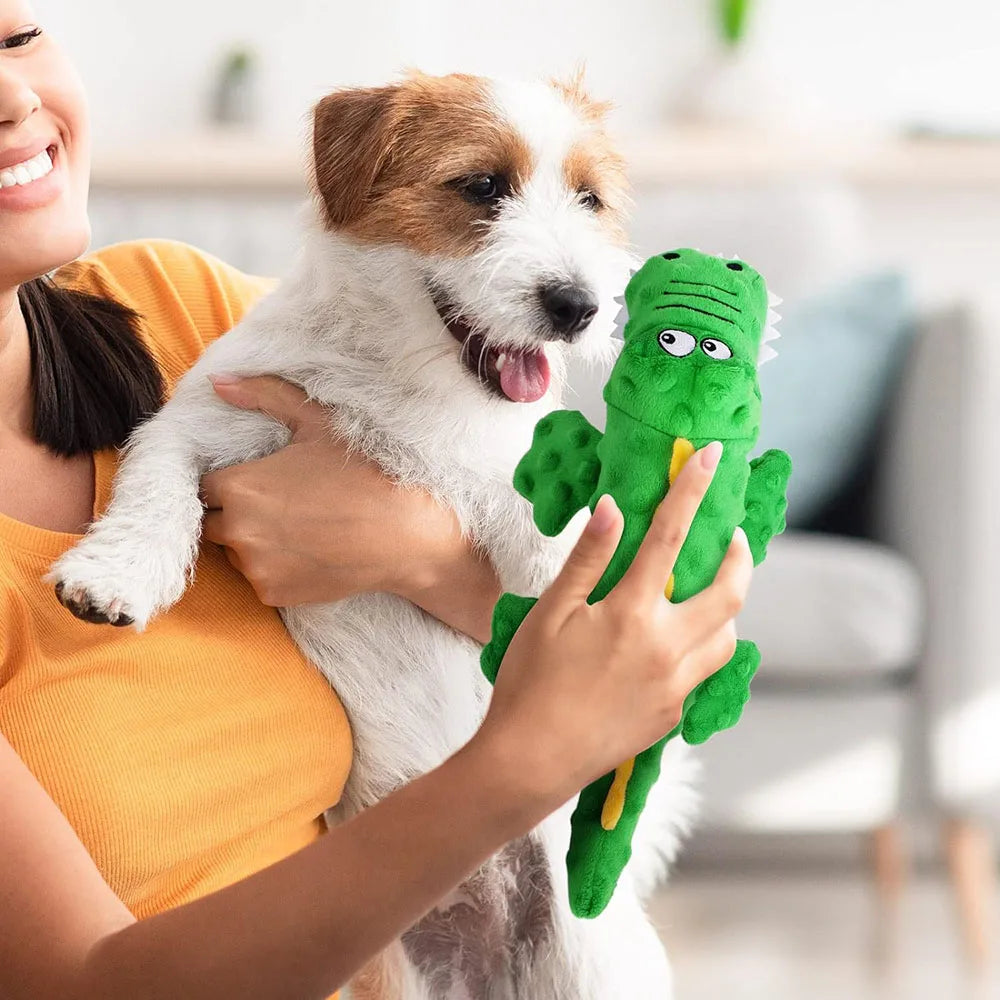 Frau hält Hund mit grünem Dinosaurier-Plüschtier. Perfektes Hundespielzeug, robust und interaktiv. Ideal für Haustierliebhaber und Spielspaß.