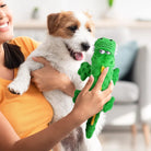 Frau hält Hund mit grünem Dinosaurier-Plüschtier. Perfektes Hundespielzeug, robust und interaktiv. Ideal für Haustierliebhaber und Spielspaß.