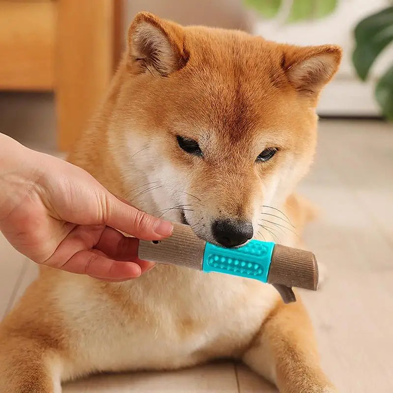Shiba Inu spielt mit einem interaktiven Hundespielzeug. Perfekt für Zahnpflege und Beschäftigung. Ideal für aktive Hunde.