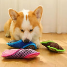 Corgi-Welpe spielt mit buntem Hundespielzeug auf Holzboden. Perfektes Haustierzubehör für interaktive Beschäftigung und Zahnpflege.
