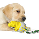 Welpe spielt mit gelbem Hundespielzeug, robust und kausicher, ideal für Zahnpflege und interaktives Spielen. Perfekt für aktive Hunde.