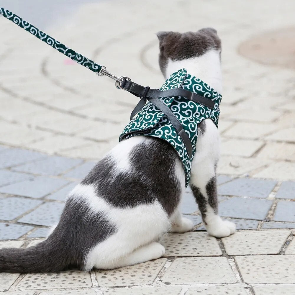 Katze mit grünem Geschirr und Leine auf Gehweg. Haustiergeschirr, Katzensicherheit, Spaziergang mit Katze, stilvolles Katzengeschirr.