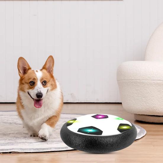Hund spielt mit leuchtendem Hoverball im Wohnzimmer. Interaktives Hundespielzeug, ideal für drinnen. Perfekt für aktive Haustiere.