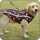 Goldener Retriever mit buntem Hundemantel, geometrisches Muster, Outdoor-Hundebekleidung, stilvoller Hundemantel, Herbstmode für Hunde.