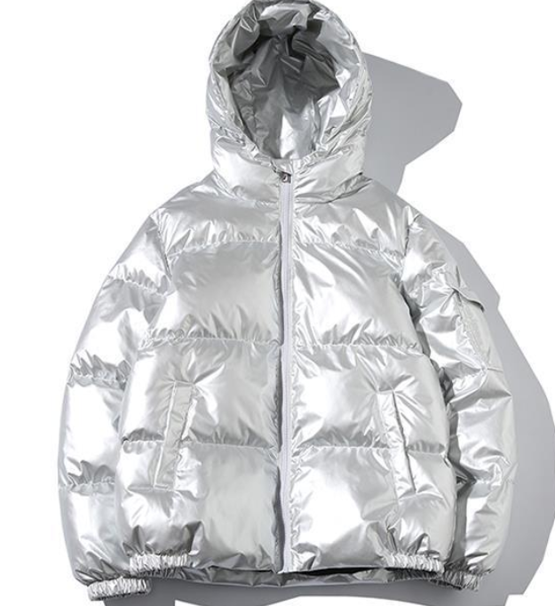 Silberne Daunenjacke mit Kapuze, glänzendem Finish und Reißverschluss. Perfekt für Wintermode, warm und stilvoll. Ideal für kalte Tage.