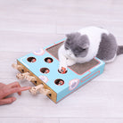 Katze spielt mit interaktivem blauen Katzenspielzeug aus Holz, Kratzbrett, Pfotenmuster, lustig.