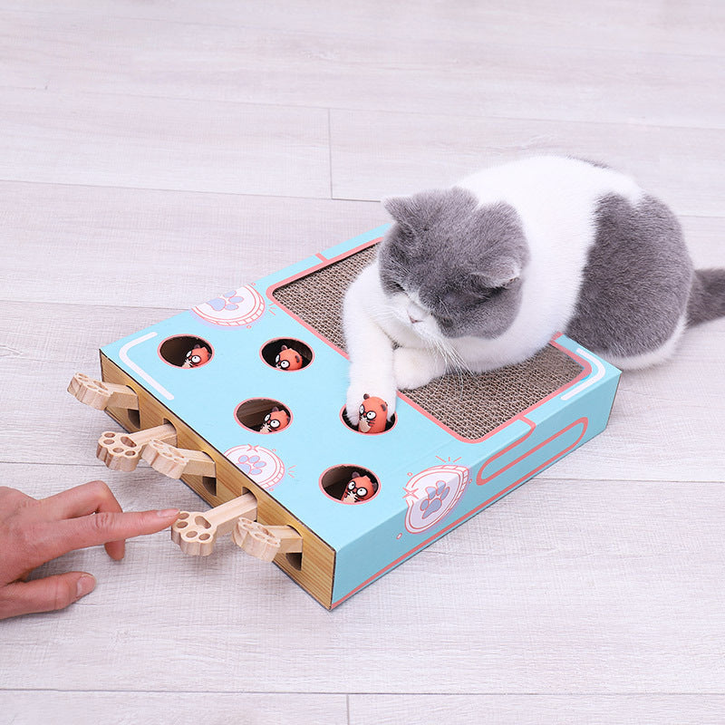 Katze spielt mit interaktivem blauen Katzenspielzeug aus Holz, Kratzbrett, Pfotenmuster, lustig.