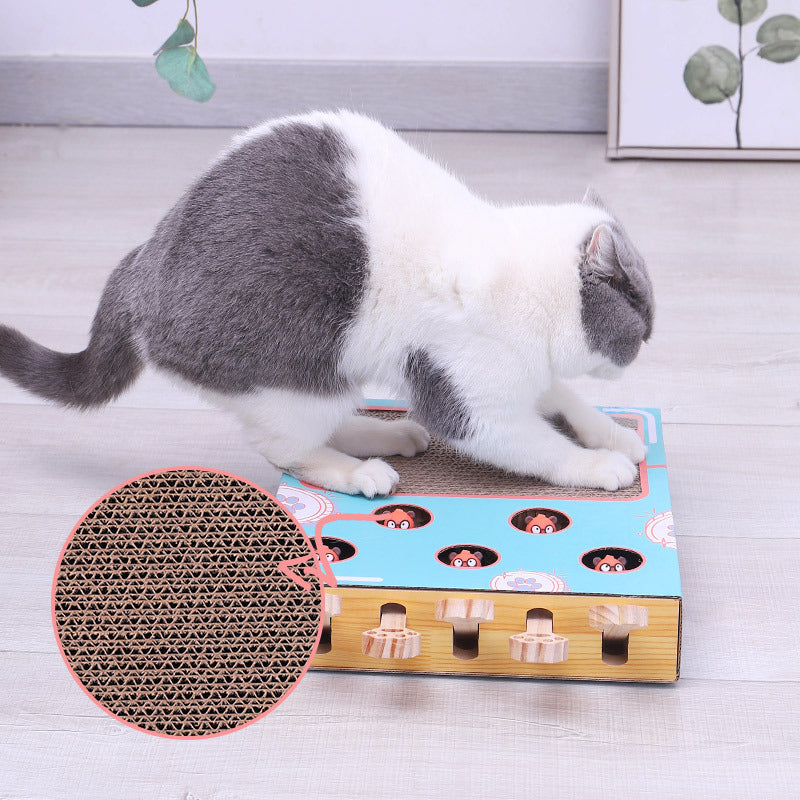 Weiße Katze spielt mit interaktivem Katzenspielzeug aus Pappe auf Holzboden.