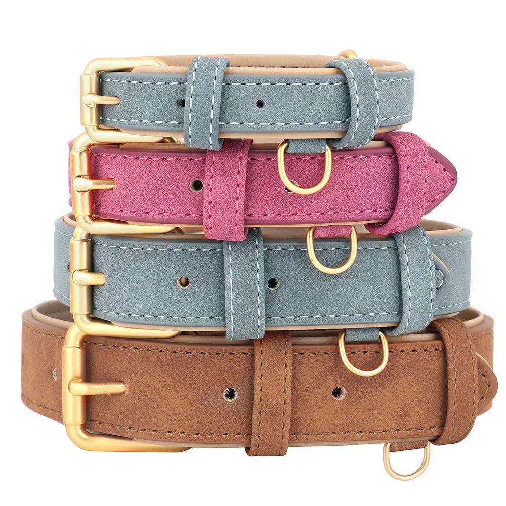 Stapel aus vier Hundehalsbändern in Blau, Pink und Braun mit goldenen Schnallen. Hochwertige Lederhalsbänder für Hunde, stilvoll und robust.