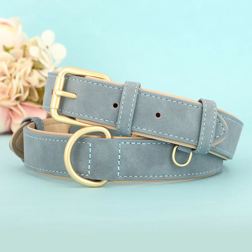Hochwertiges, hellblaues Hundehalsband aus Leder mit goldener Schnalle und D-Ring, ideal für stilvolle Haustieraccessoires.