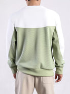 Herren-Sweatshirt zweifarbig, grün-weiß, langärmelig, Freizeitmode, Rückansicht.
