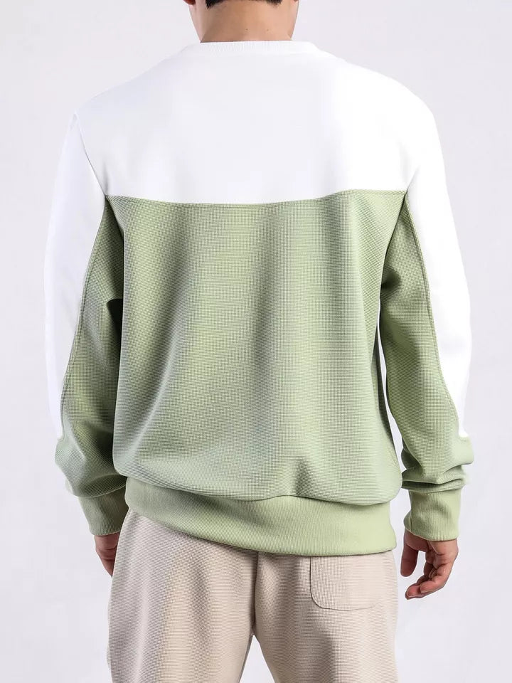 Herren-Sweatshirt zweifarbig, grün-weiß, langärmelig, Freizeitmode, Rückansicht.