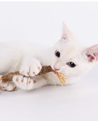 Weißes Kätzchen spielt mit Katzenminze-Stick auf weißem Hintergrund. Niedliche Katze, Haustier, Spielzeug, Katzenminze, Unterhaltung, Tierbedarf.