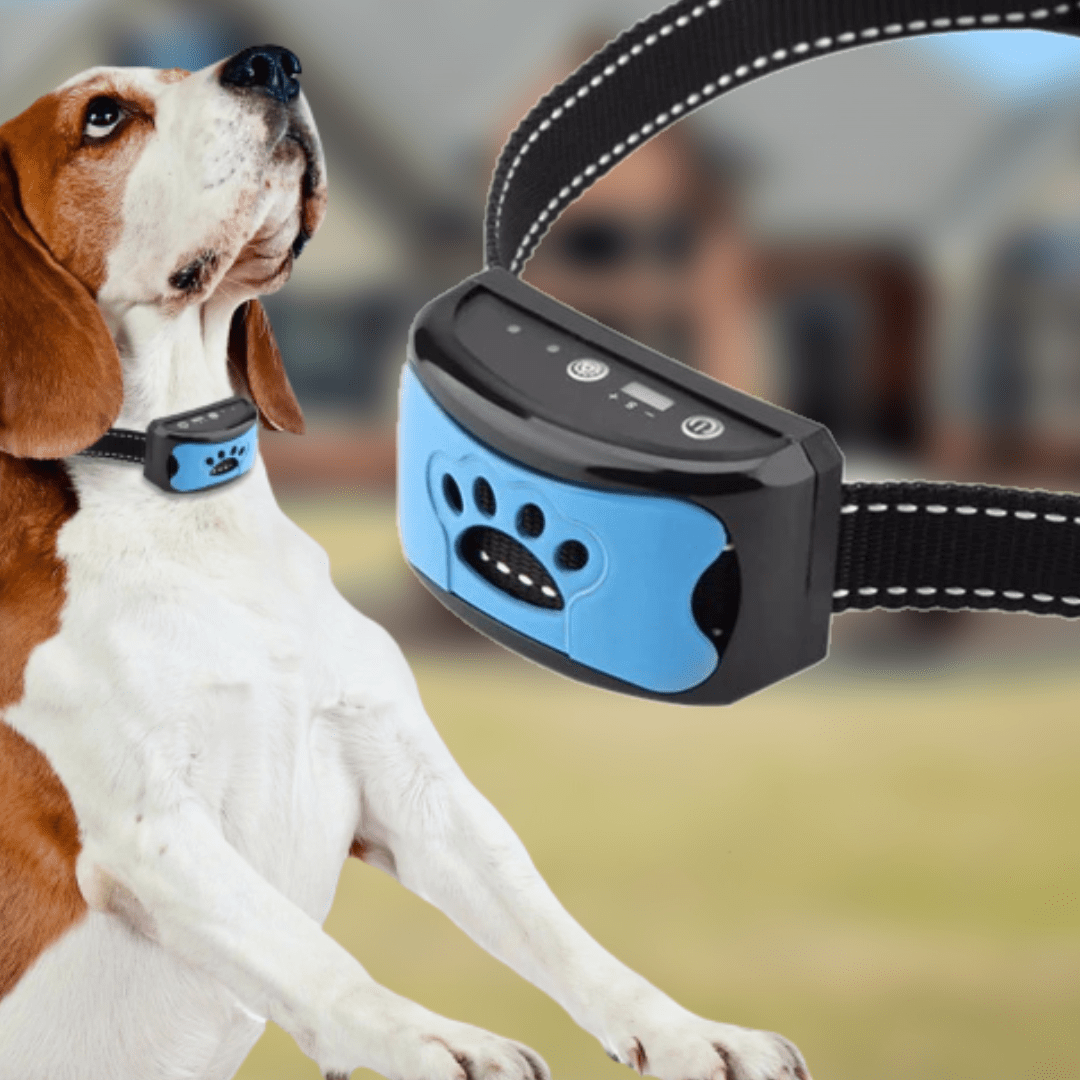 Hundehalsband mit Vibration, blau-schwarz, Anti-Bell-Funktion, wiederaufladbar, für Hundeerziehung.